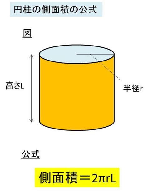 低面積|円柱の側面積、底面積、表面積を求める方法